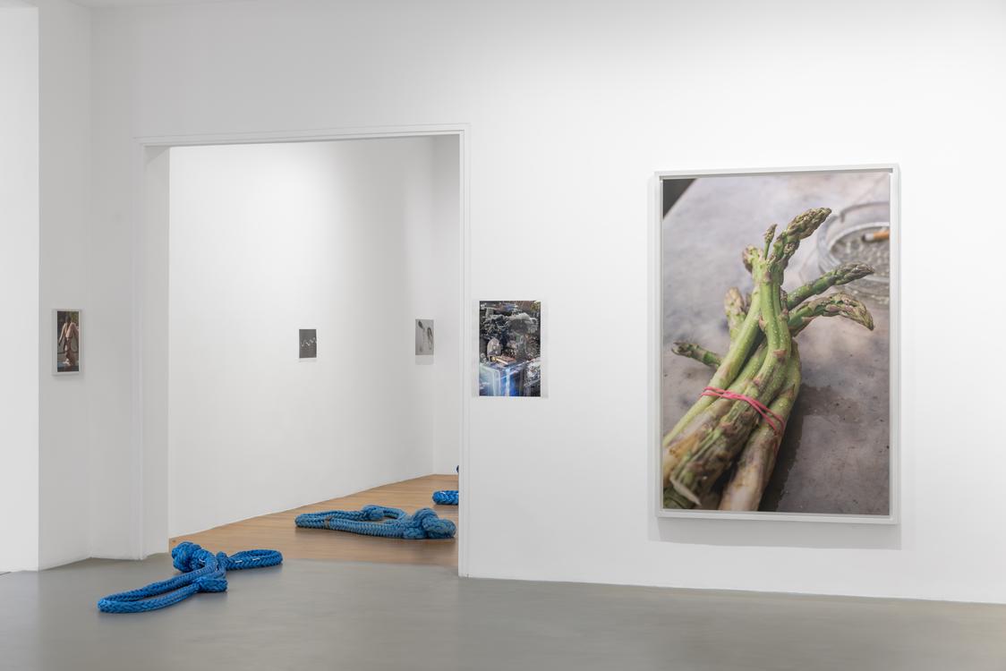 Wolfgang Tillmans - Glade / Clairière